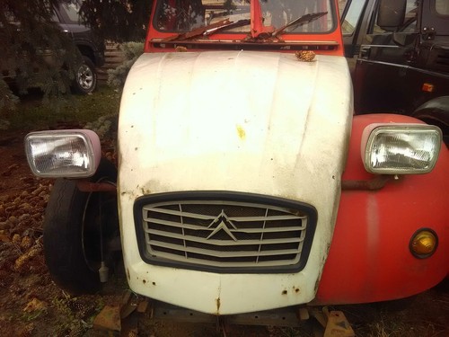 Citroen ente 2cv geweih - citroen, fÜr